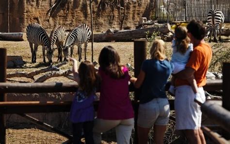  エルパソ動物園、広大な敷地と多様な動物たち！