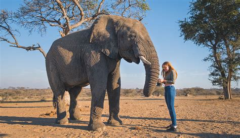  クルーガー国立公園で野生動物との感動的な遭遇を体験しよう！